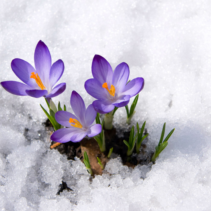 Why Air Conditioning Maintenance in Early Spring is a Good Idea