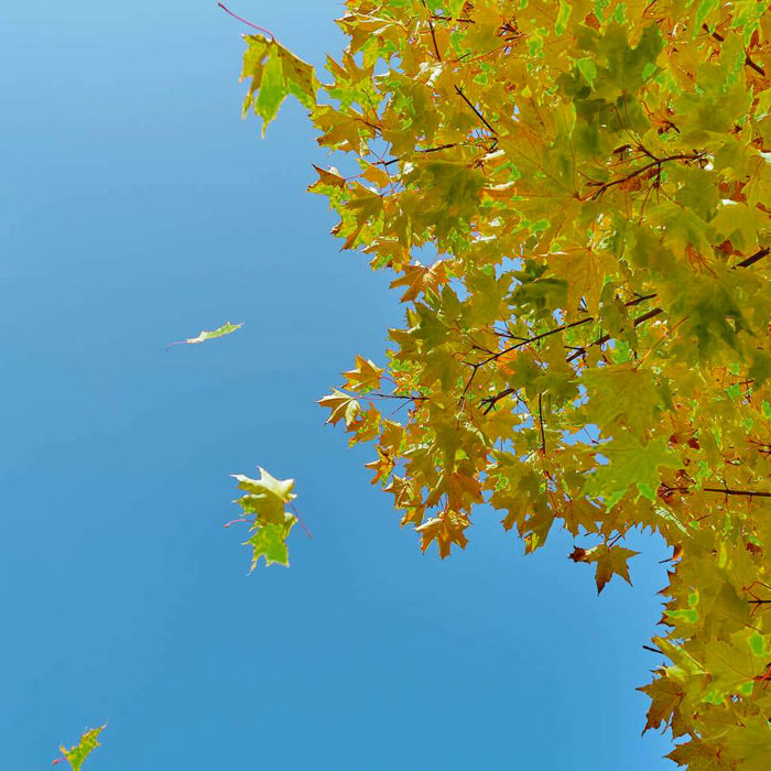 Essential End-of-Summer Services by Air Conditioning Contractors