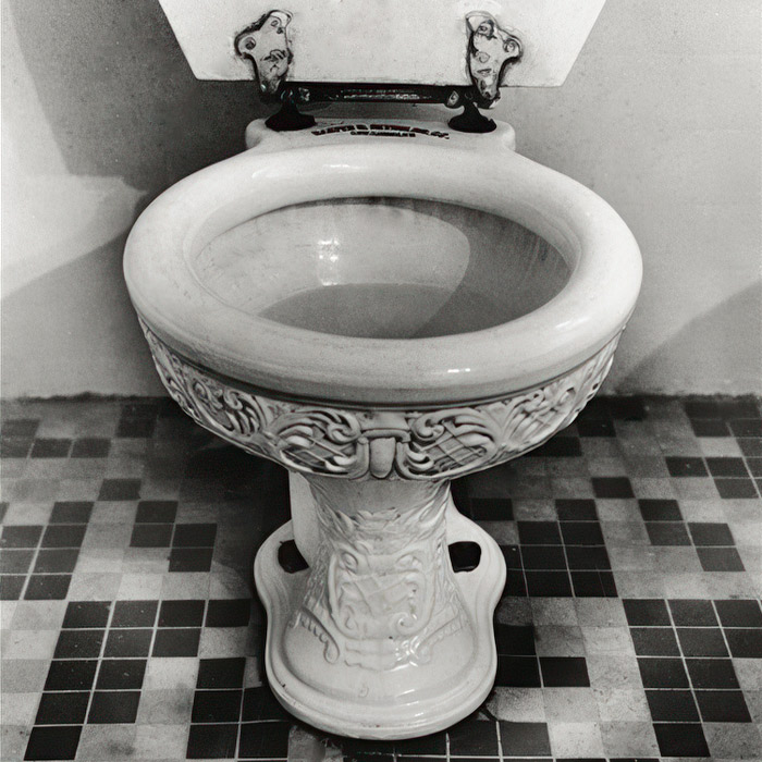 The Evolution of the Flushing Toilet