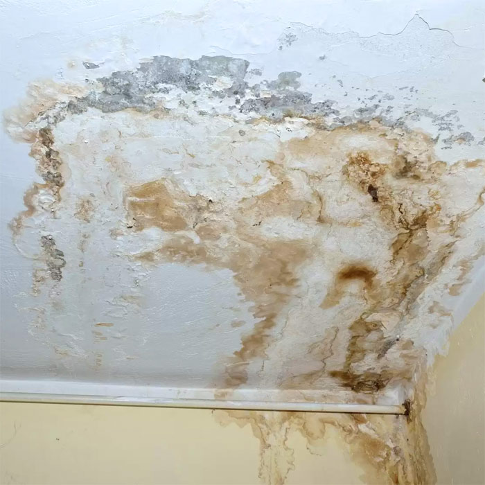 The Consequences of Plumbing Leaks