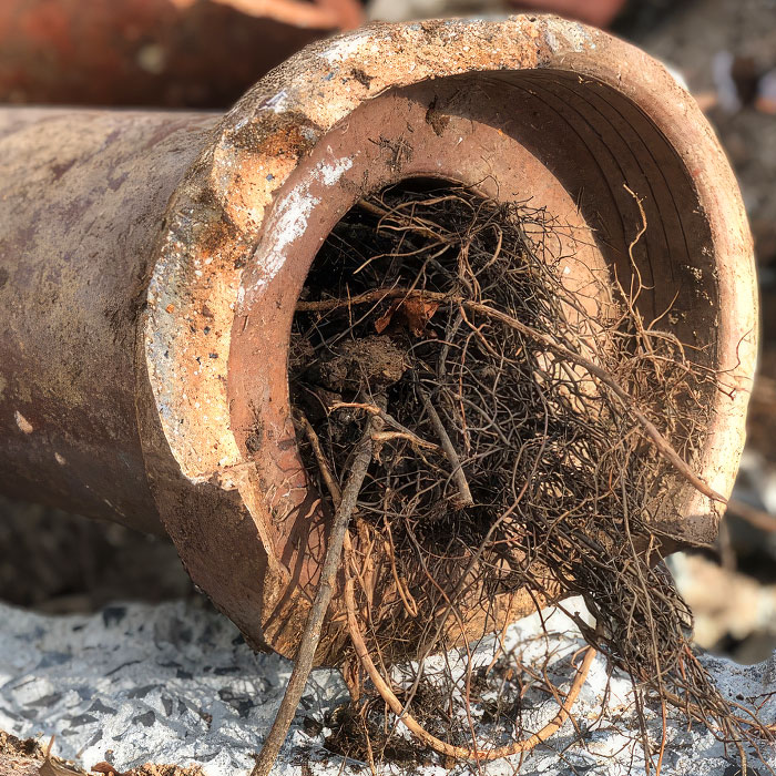 Why Sewer Backups Happen and How to Prevent Them