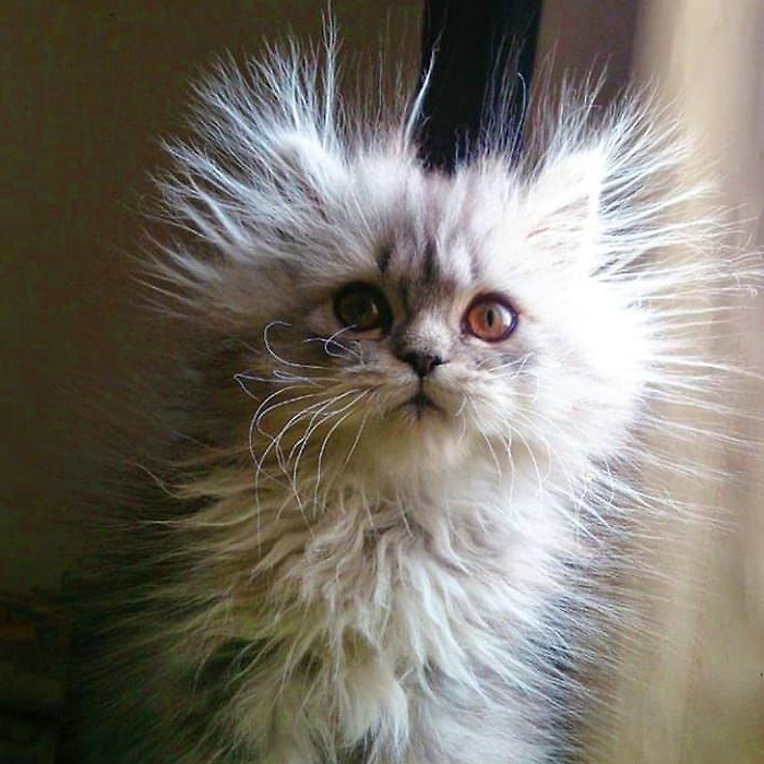 The Benefits of a Whole-House Humidifier for Winter Comfort